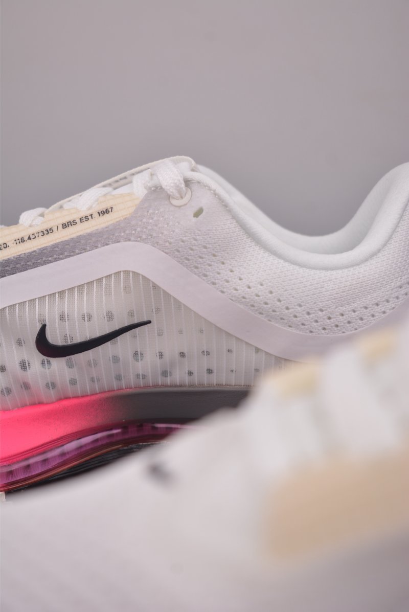 Nike Pegasus Premium view