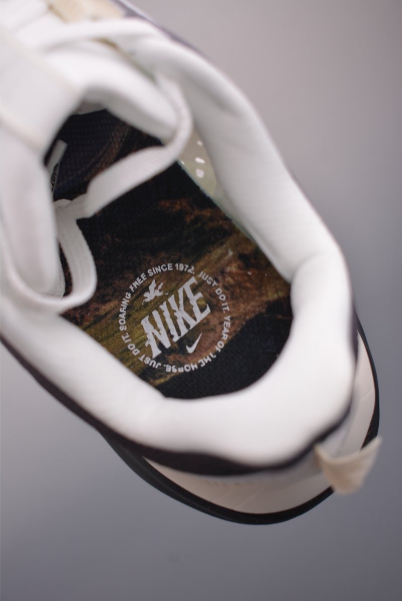 Nike Pegasus Premium view