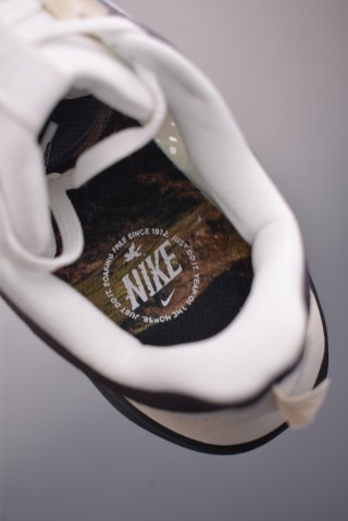 Nike Pegasus Premium view 9