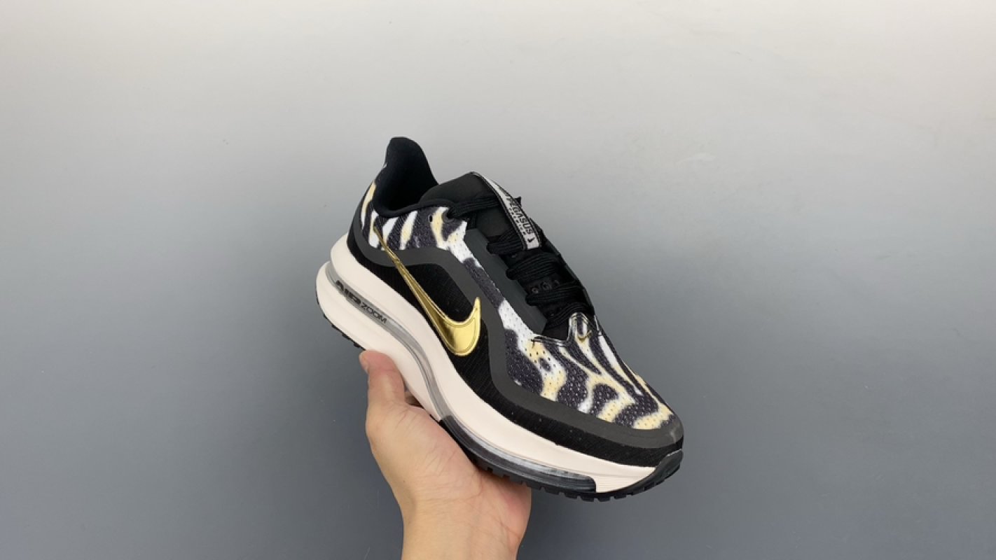 Nike Pegasus Premium view