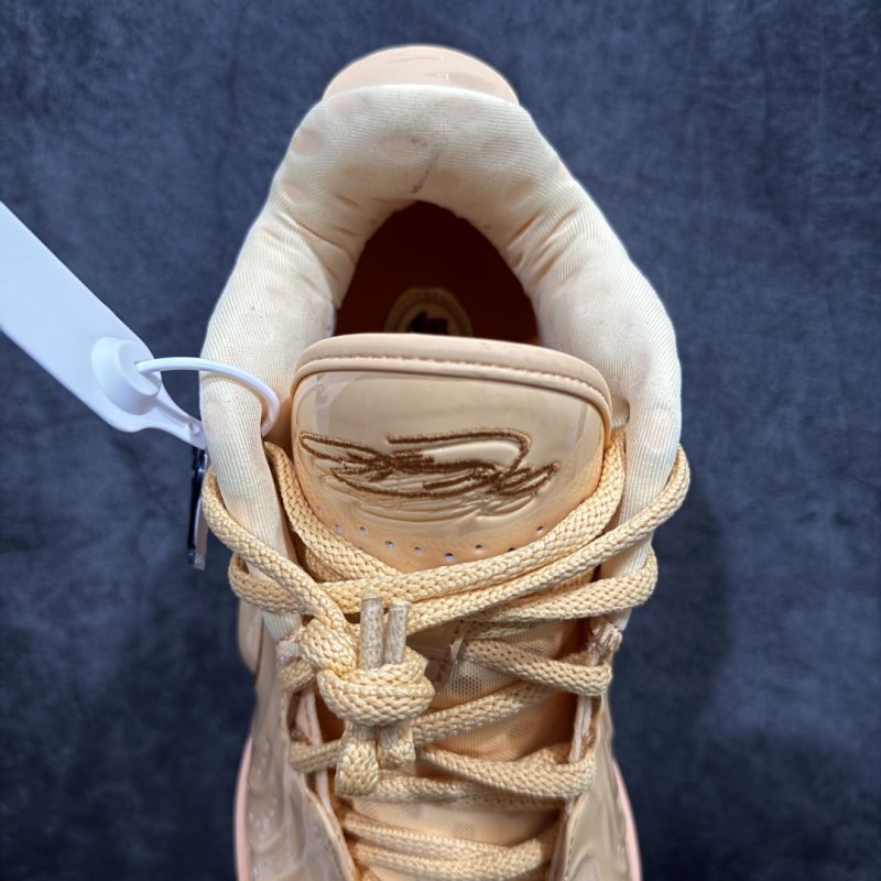 Nike LeBron 21 'Melon Tint' view