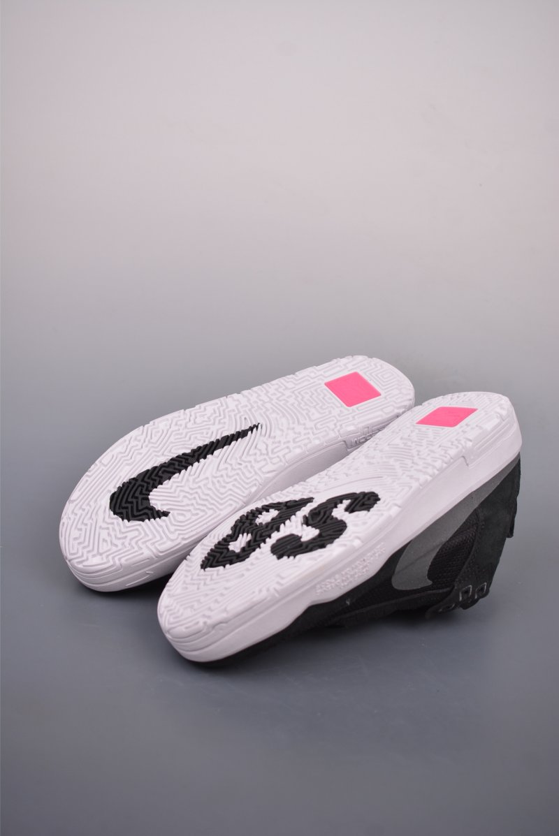 Nike SB Day One view