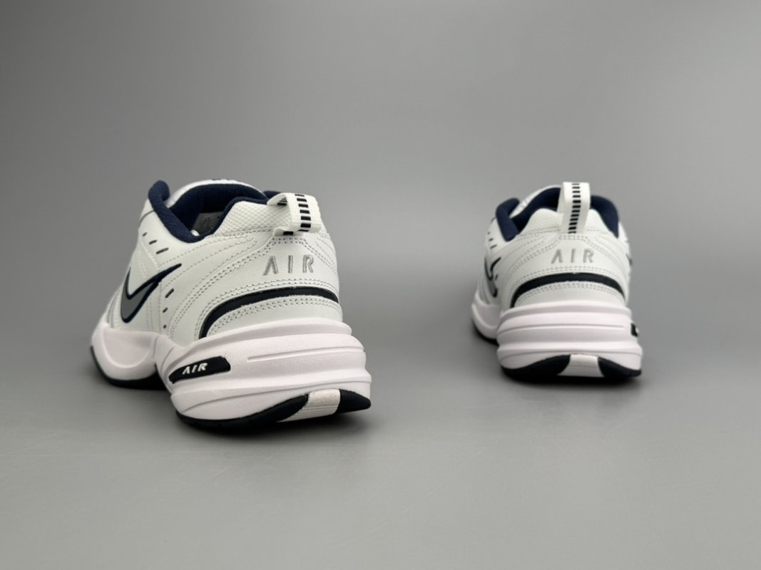 Nike Air Monarch IV view