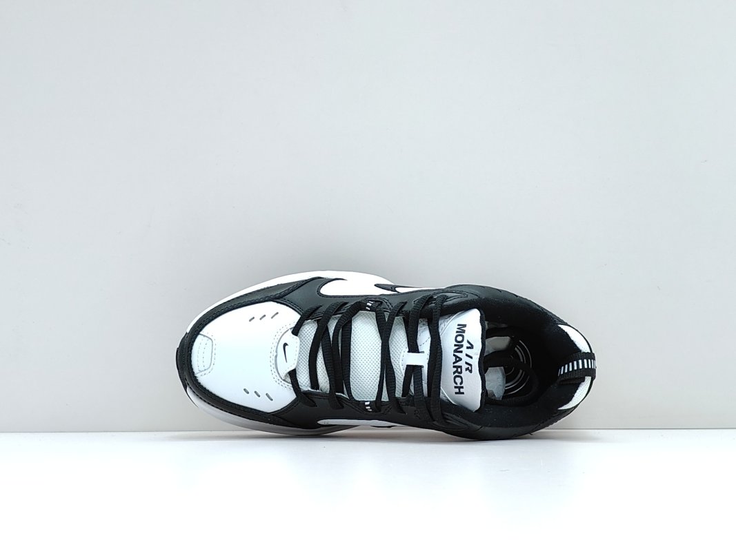 Nike Air Monarch M2K view