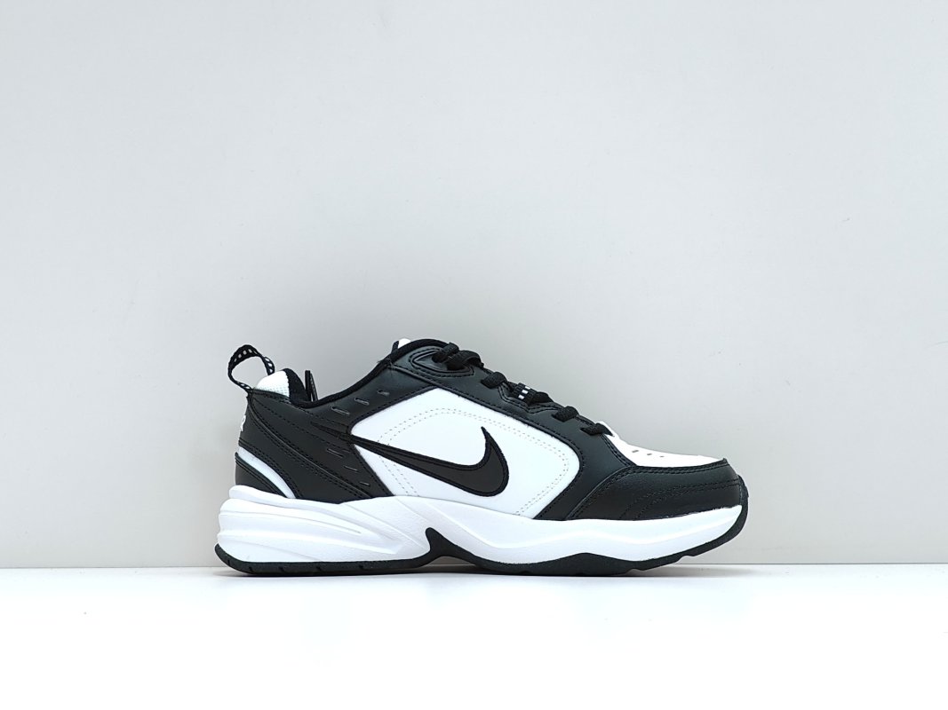 Nike Air Monarch M2K view
