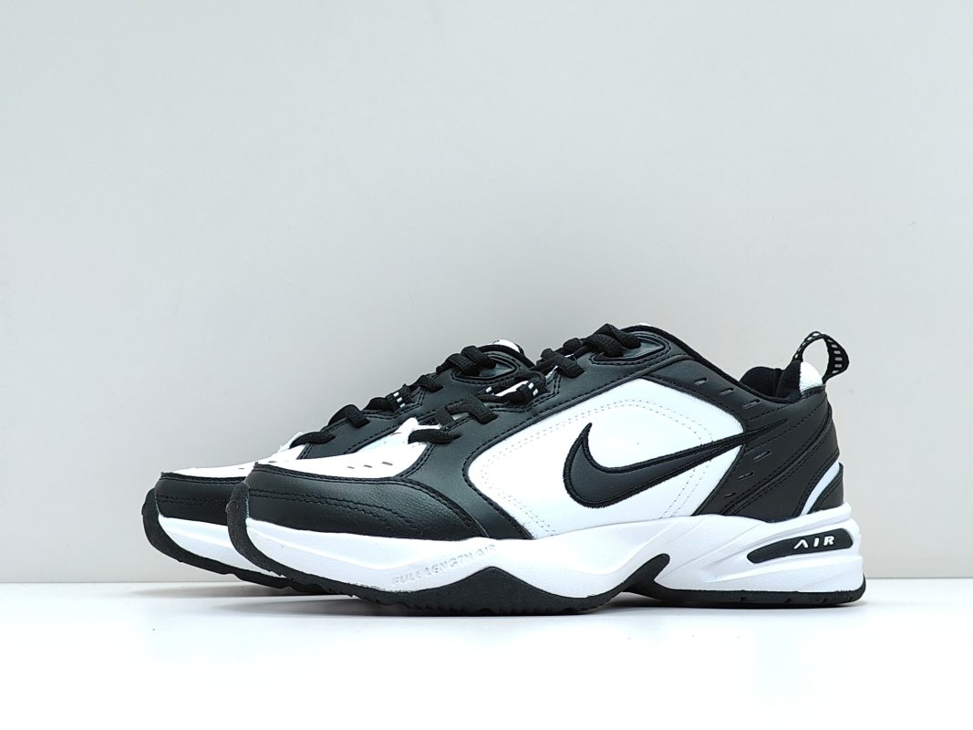 Nike Air Monarch M2K view
