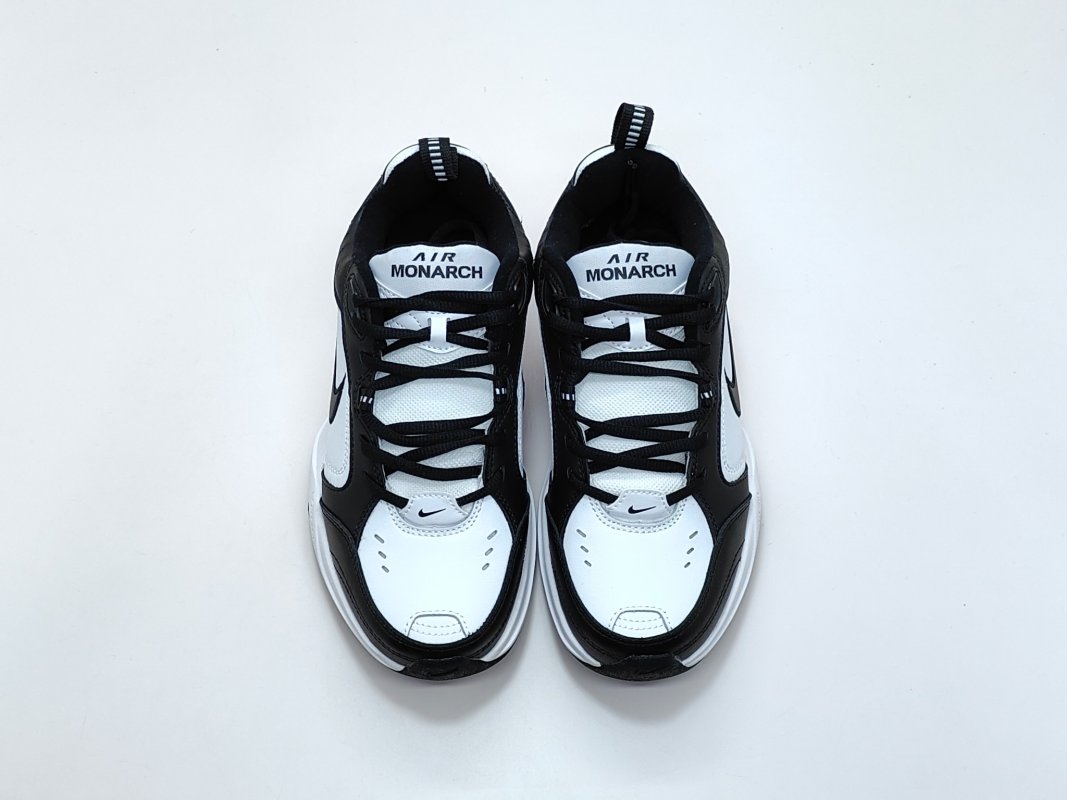 Nike Air Monarch M2K view