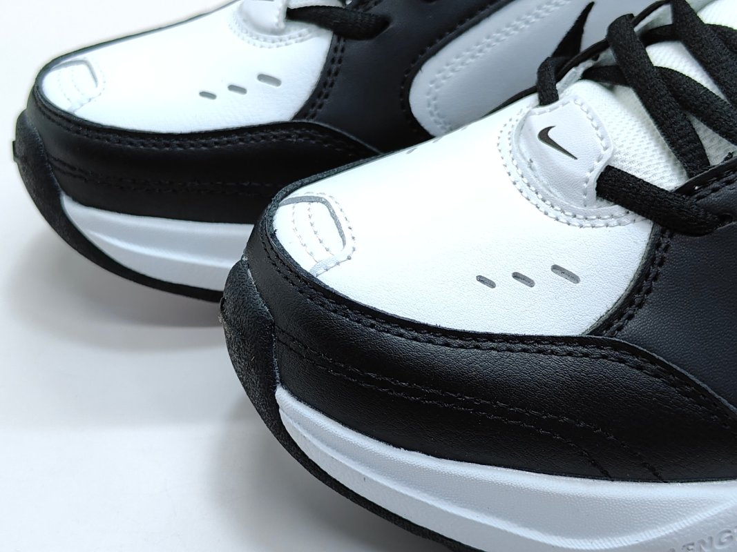 Nike Air Monarch M2K view