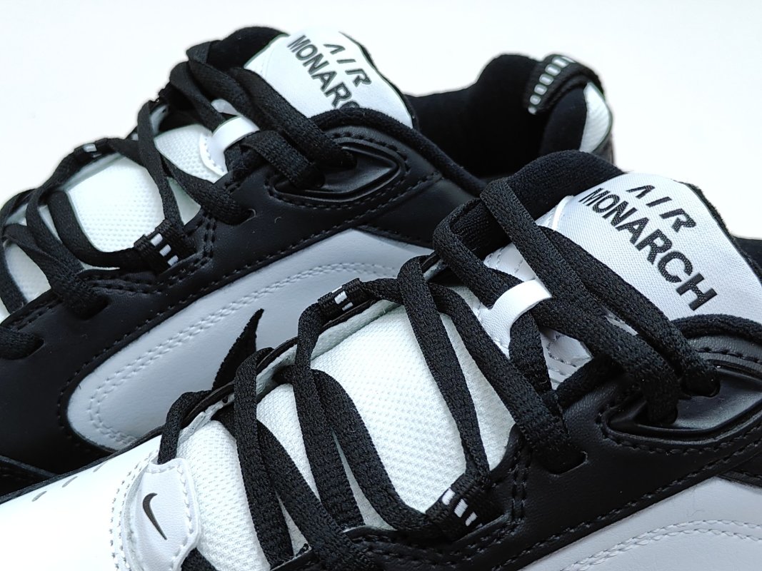 Nike Air Monarch M2K view