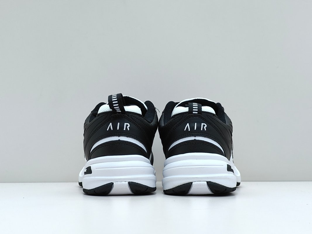 Nike Air Monarch M2K view