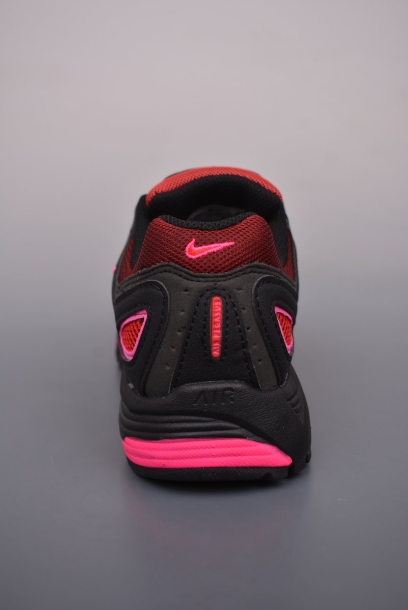 Nike Air Pegasus 2K5 view