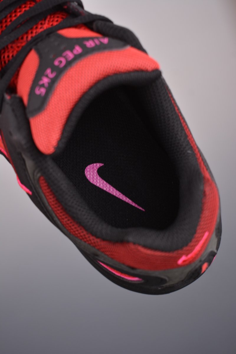 Nike Air Pegasus 2K5 view