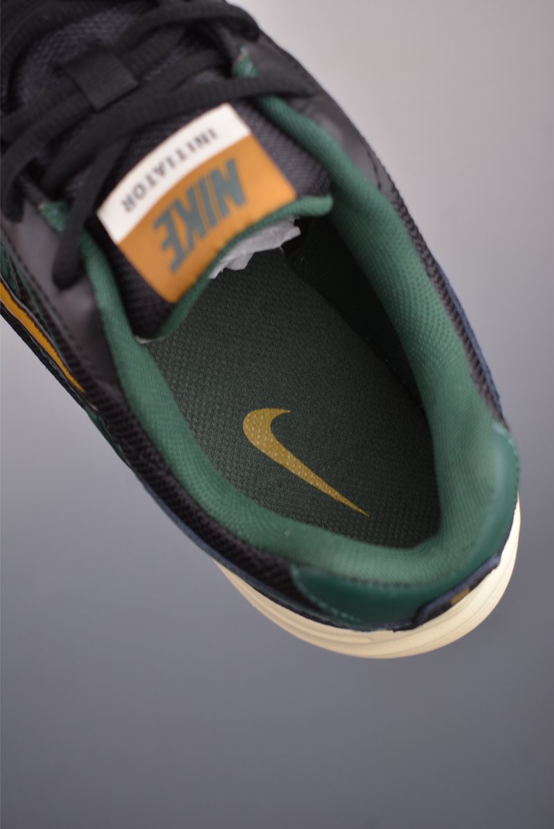 Nike P-6000 view