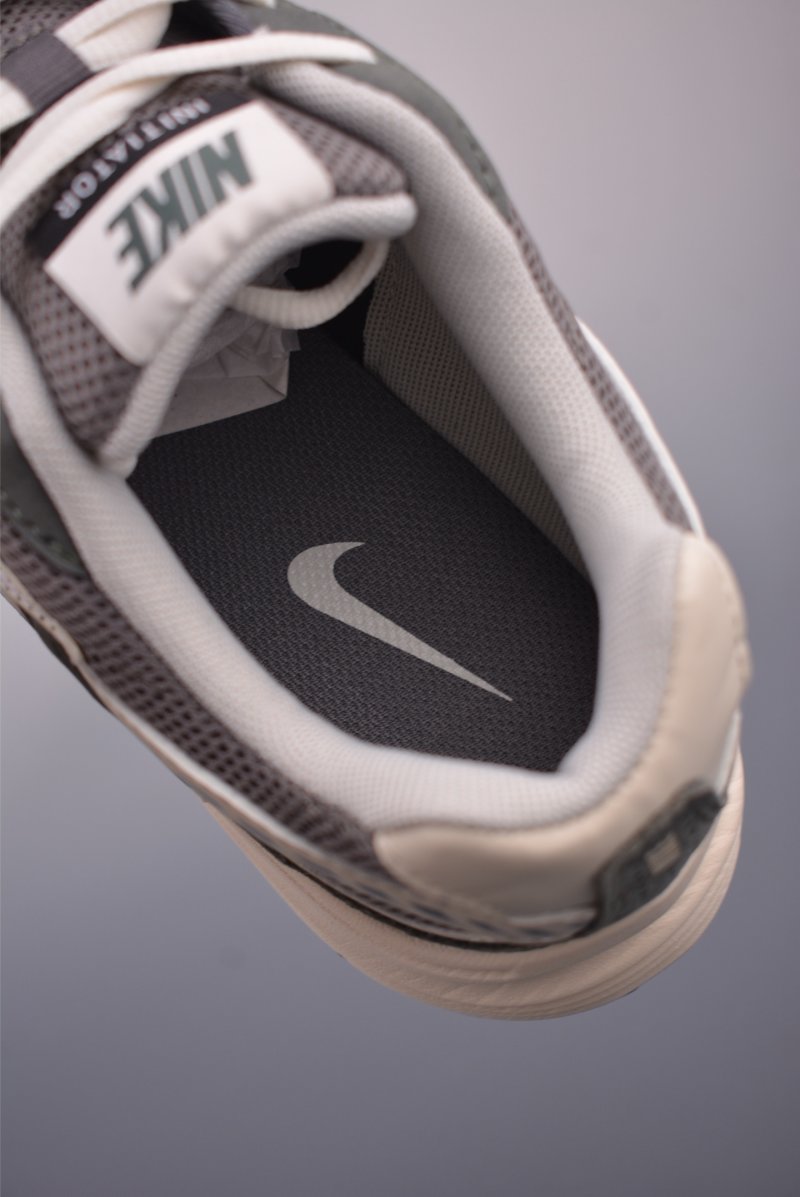 Nike P-6000 view