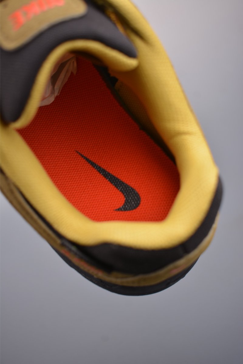 Nike P-6000 view