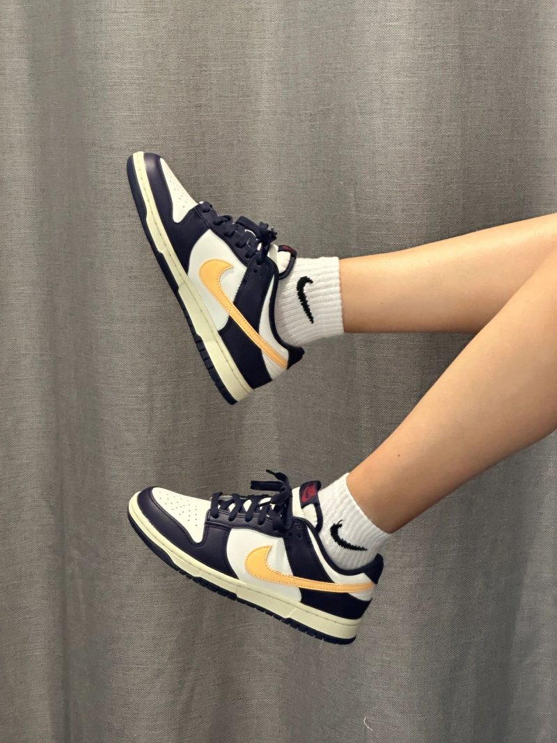 Nike SB Dunk Low view