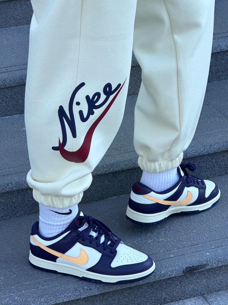 Nike SB Dunk Low view