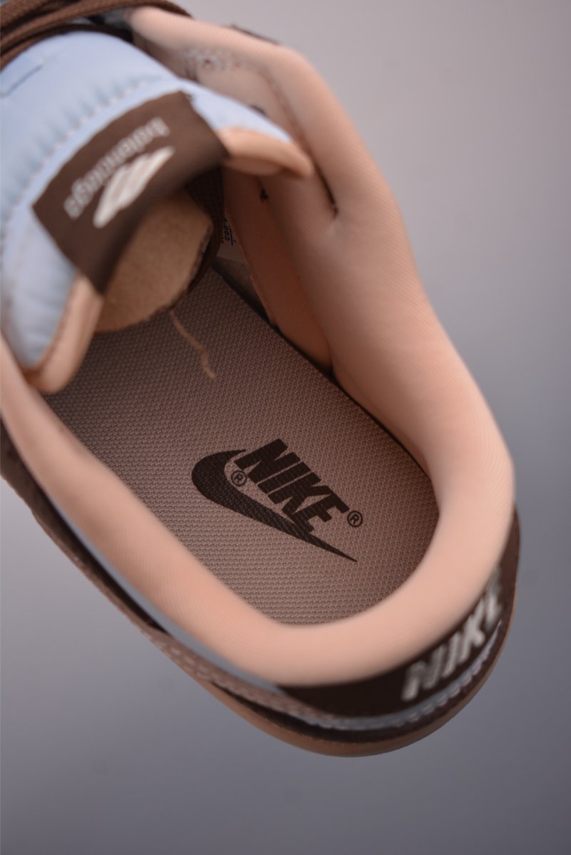 Nike SB Dunk Low Balenciaga view