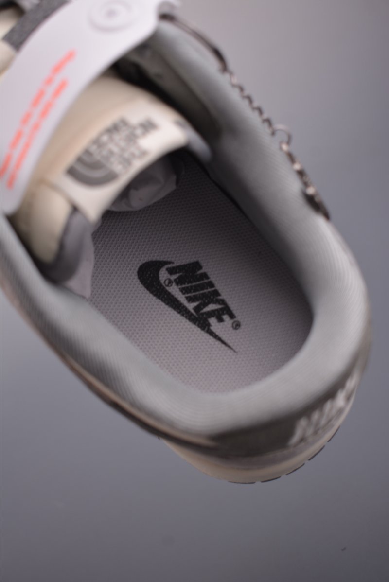 Nike SB Dunk Low The North Face view