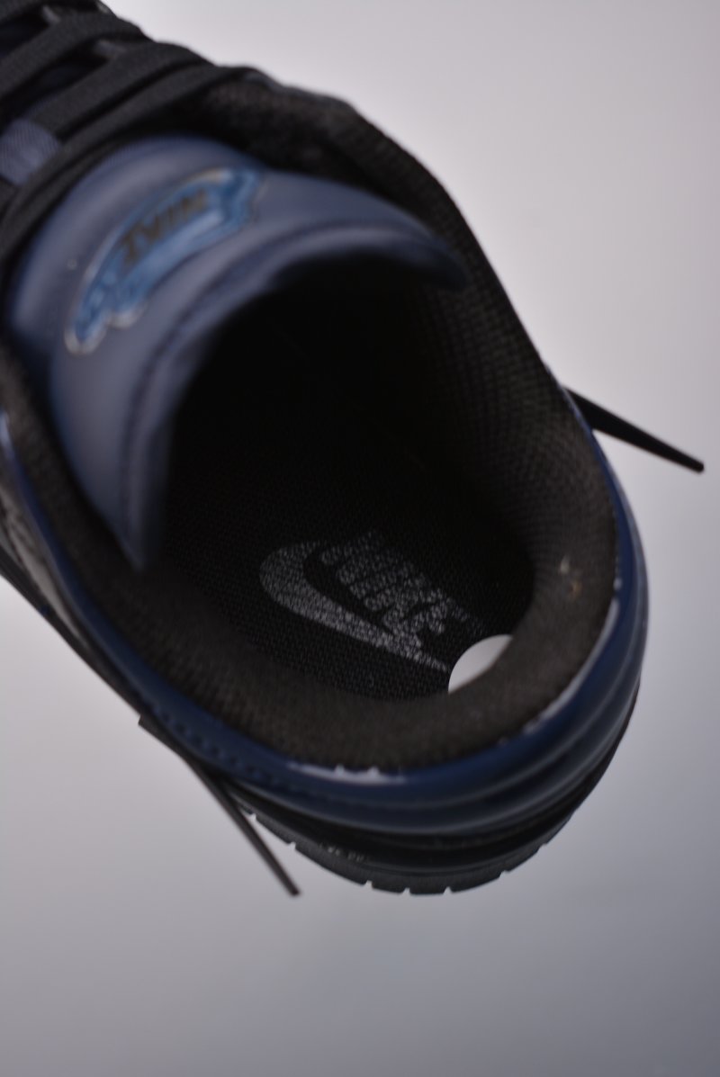 Nike SB Dunk Low view