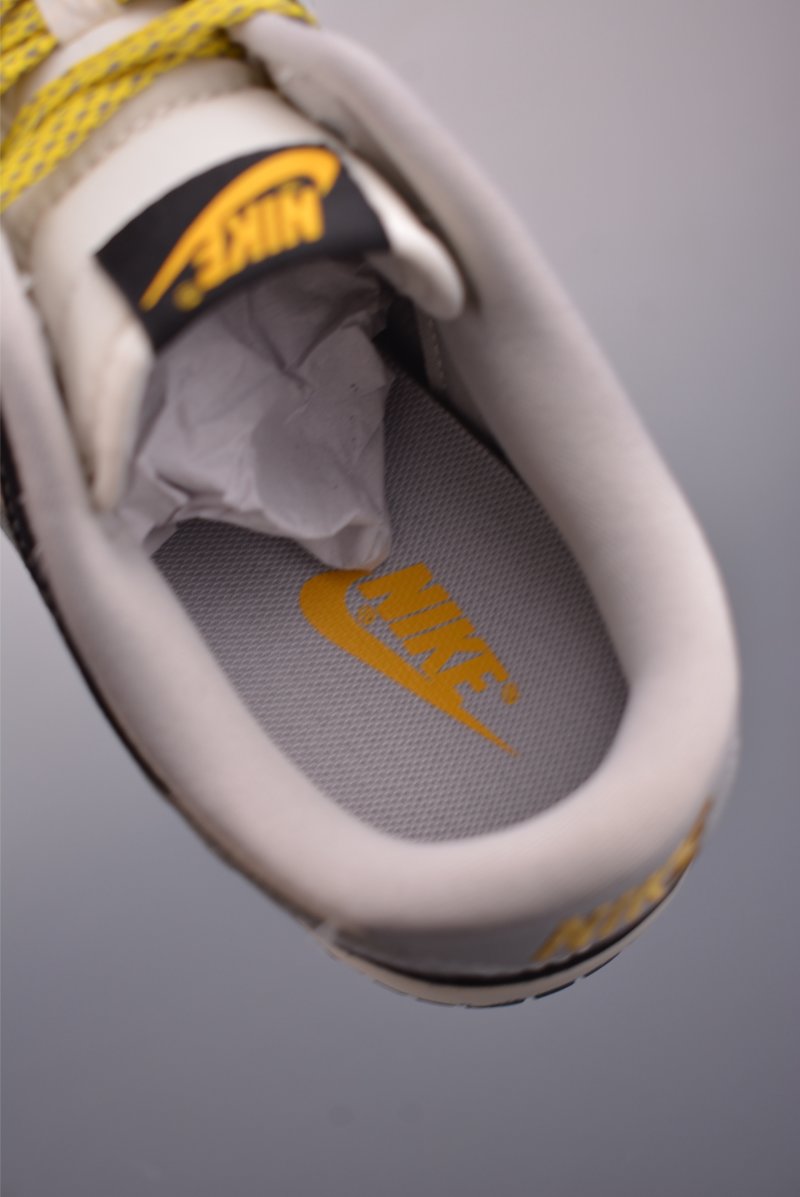 Nike SB Dunk Low 'Fendi' view