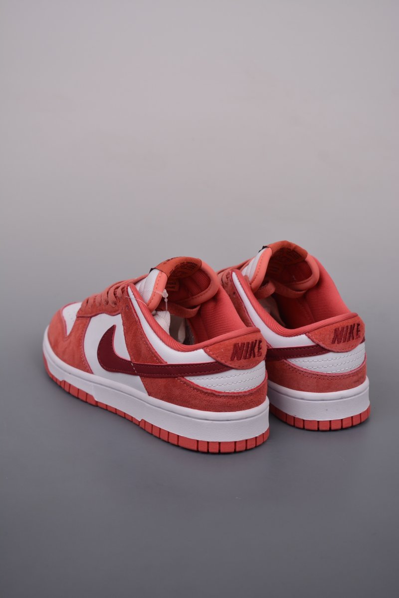 Nike SB Dunk Low view