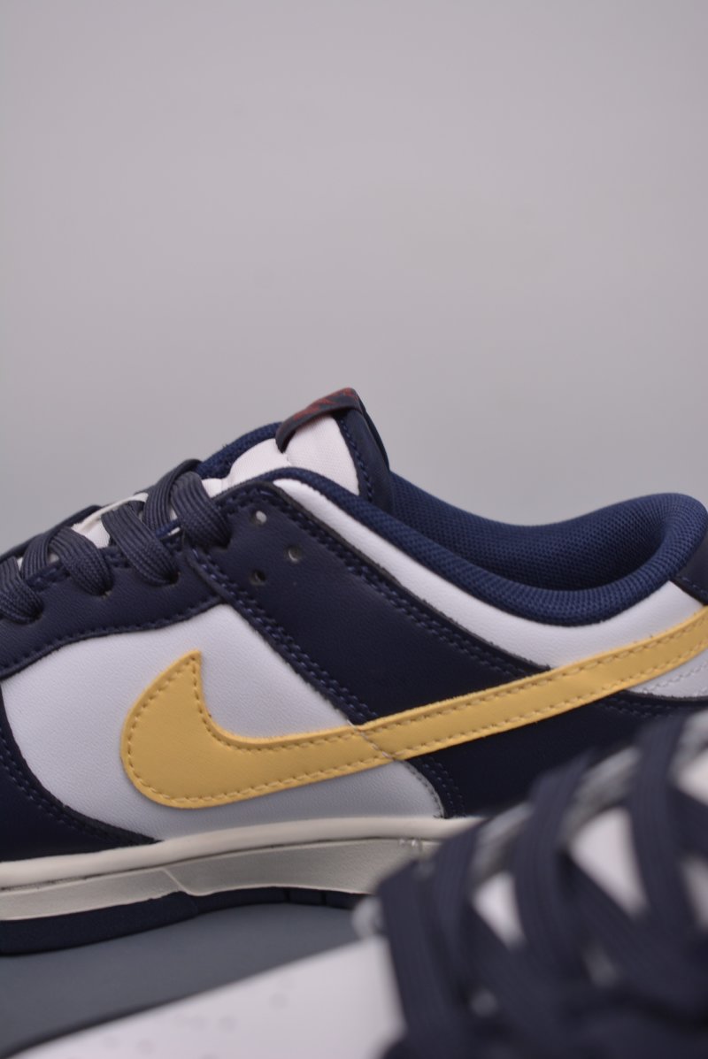 Nike SB Dunk Low view