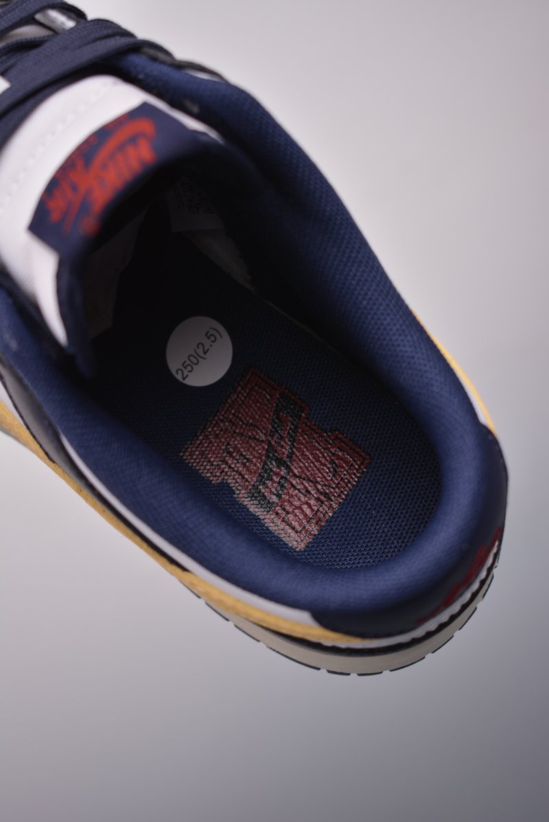 Nike SB Dunk Low view