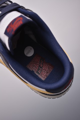 Nike SB Dunk Low view 9