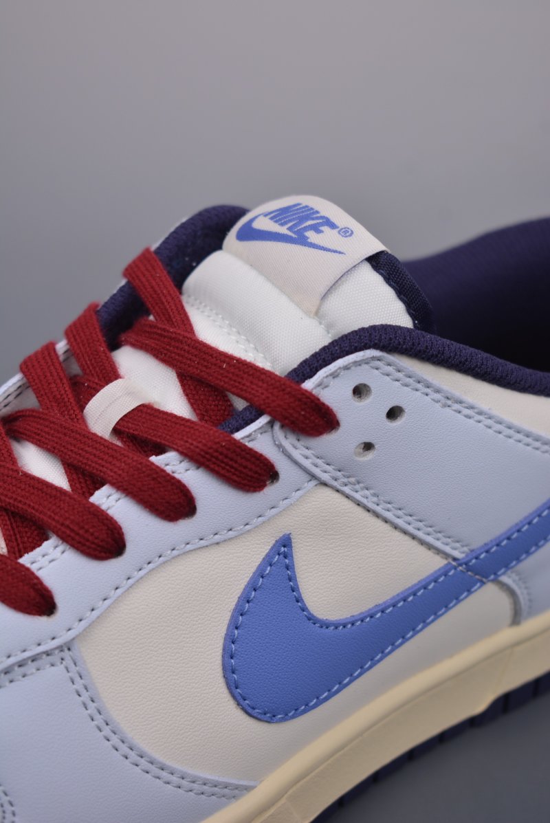 Nike SB Dunk Low view