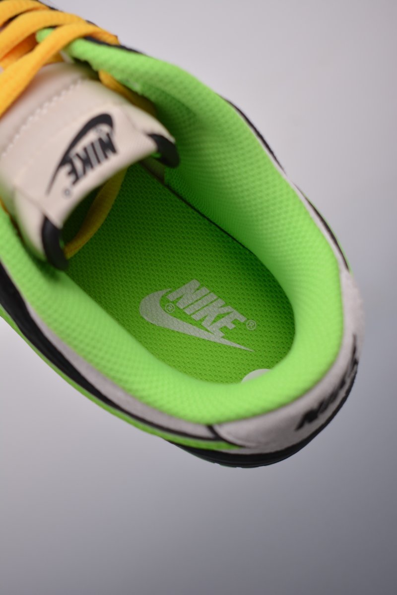 Nike SB Dunk Low view