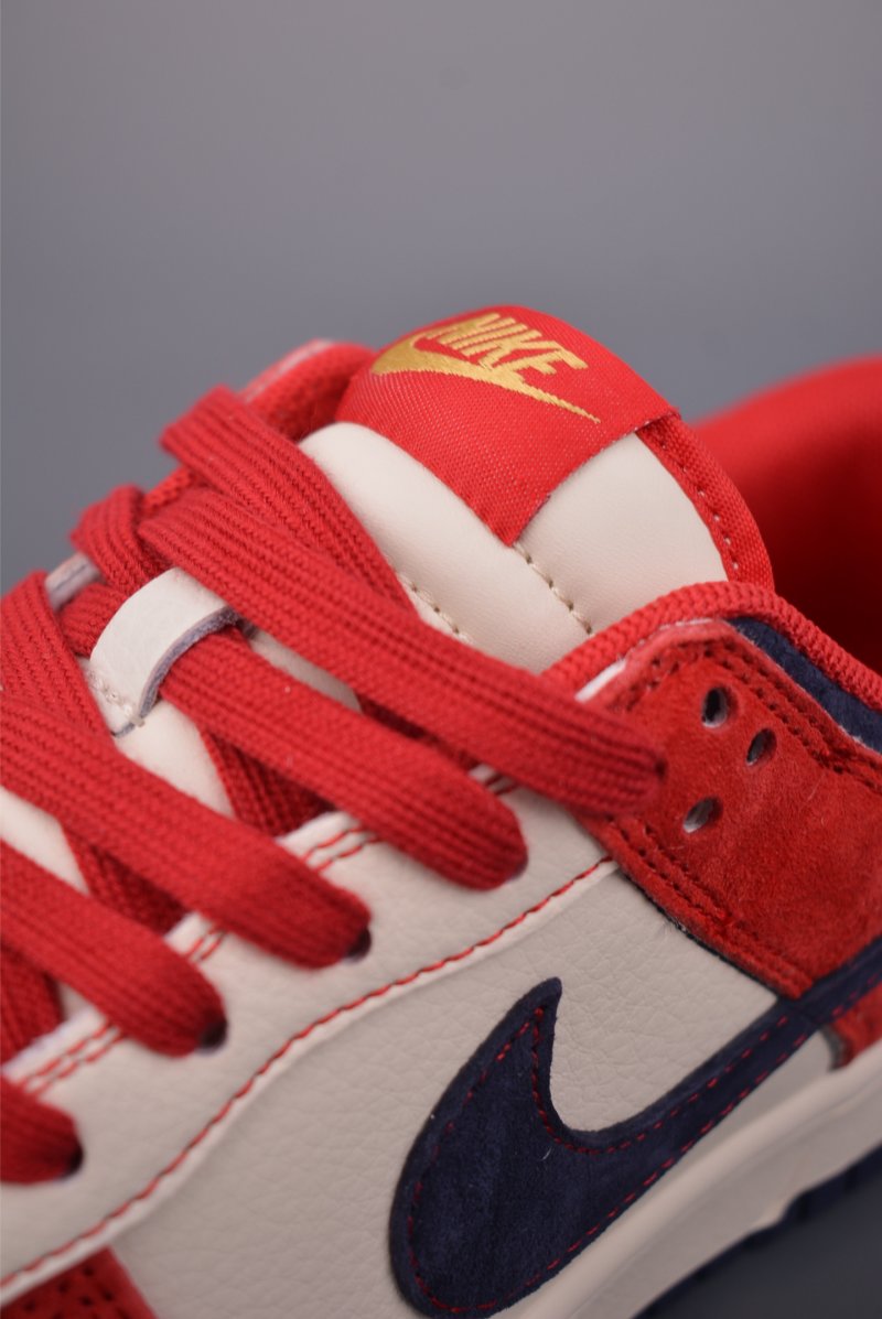 Nike SB Dunk Low view