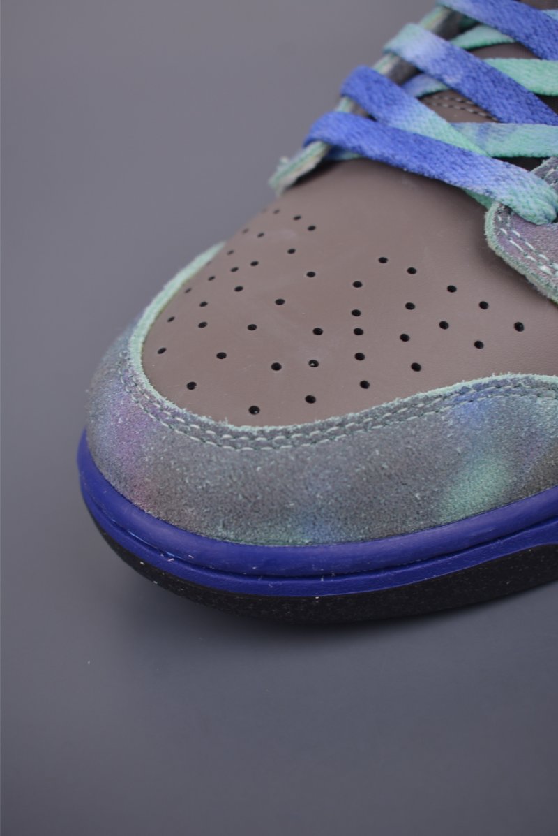 Nike SB Dunk Low view