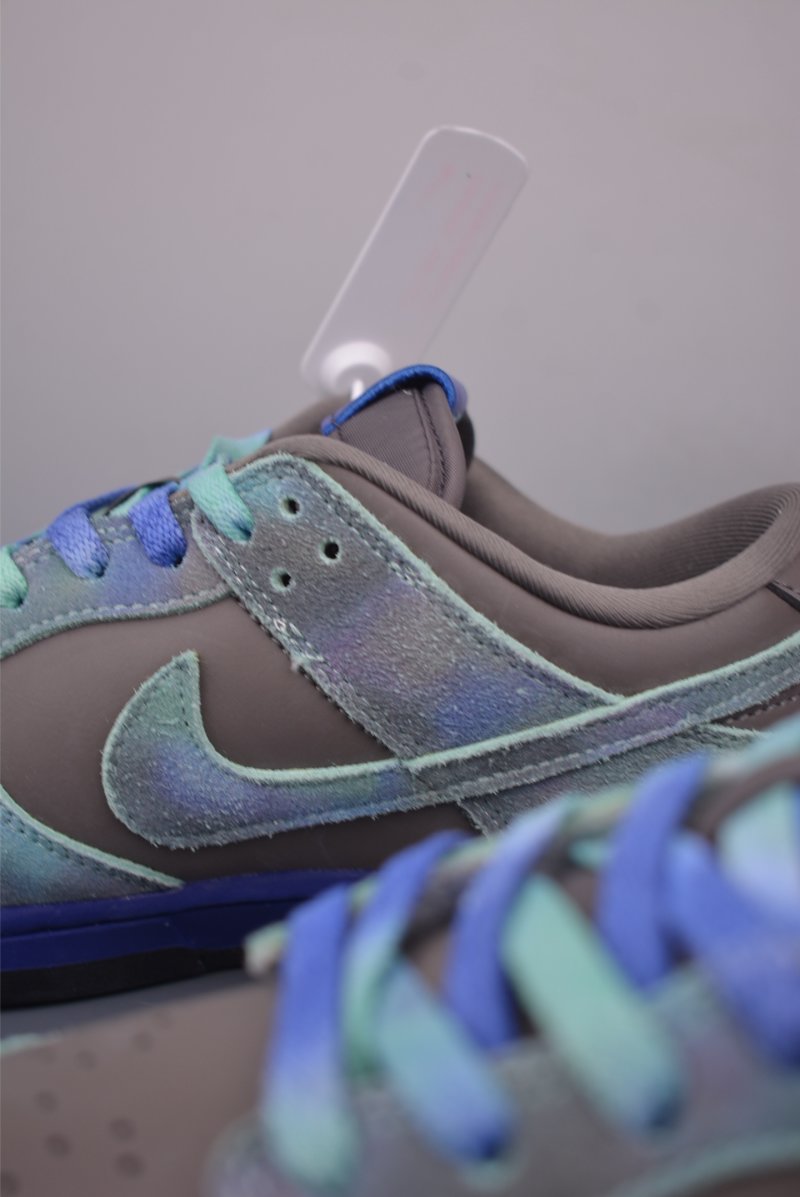 Nike SB Dunk Low view