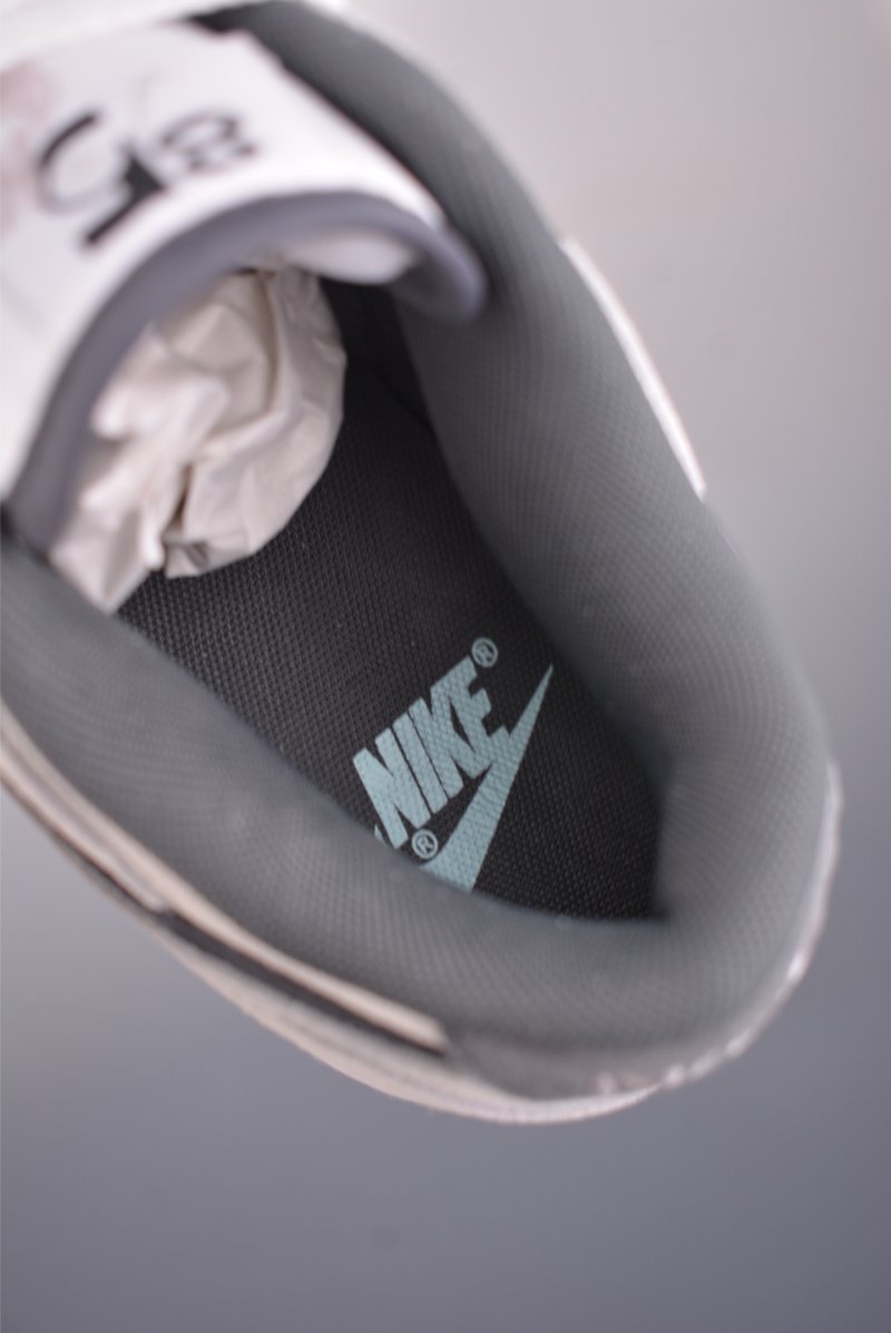 Nike SB Dunk Low view