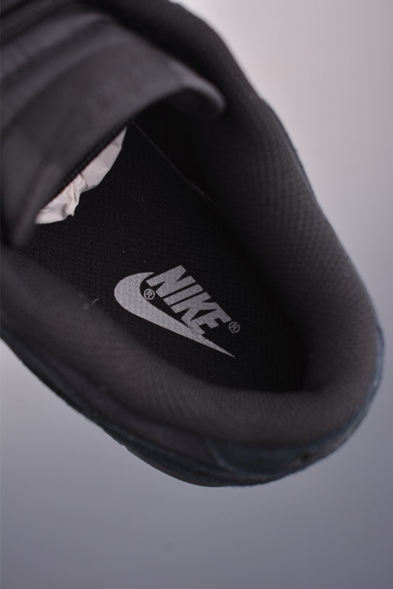 Nike SB Dunk Low view