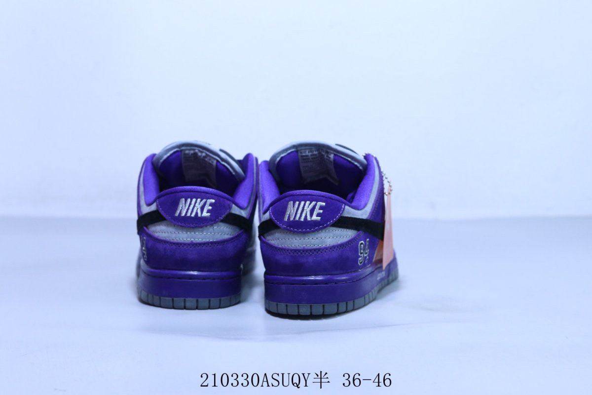 Nike SB Dunk Low Pro view
