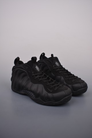 Nike Air Foamposite One view 1