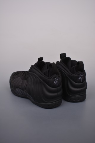 Nike Air Foamposite One view 2