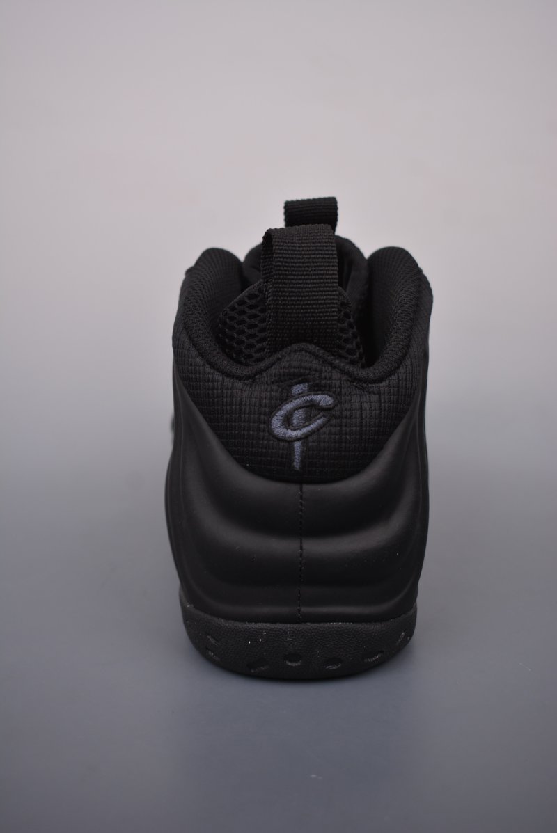 Nike Air Foamposite One view