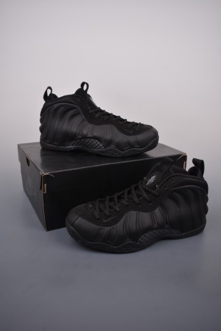 Nike Air Foamposite One view 5
