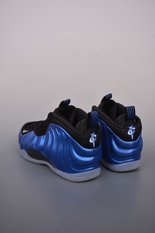 Nike Air Foamposite One view 2
