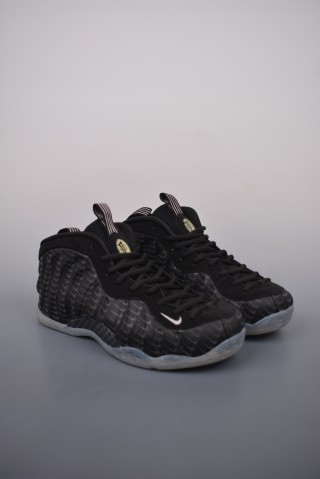 Nike Air Foamposite One view 1
