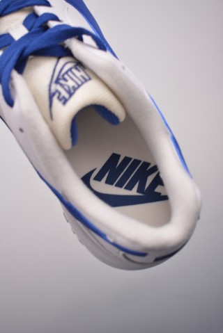 Nike Air Grudge Leather 95 view 9