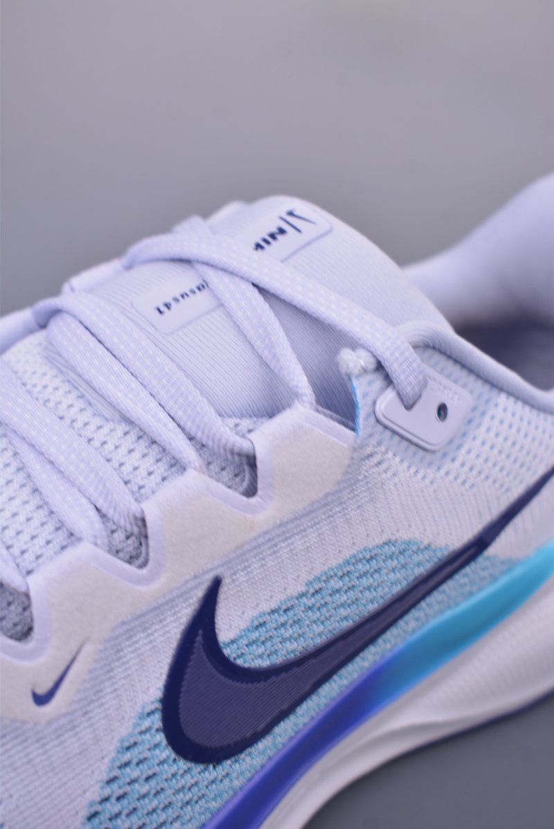 Nike Air Zoom Pegasus 41 view