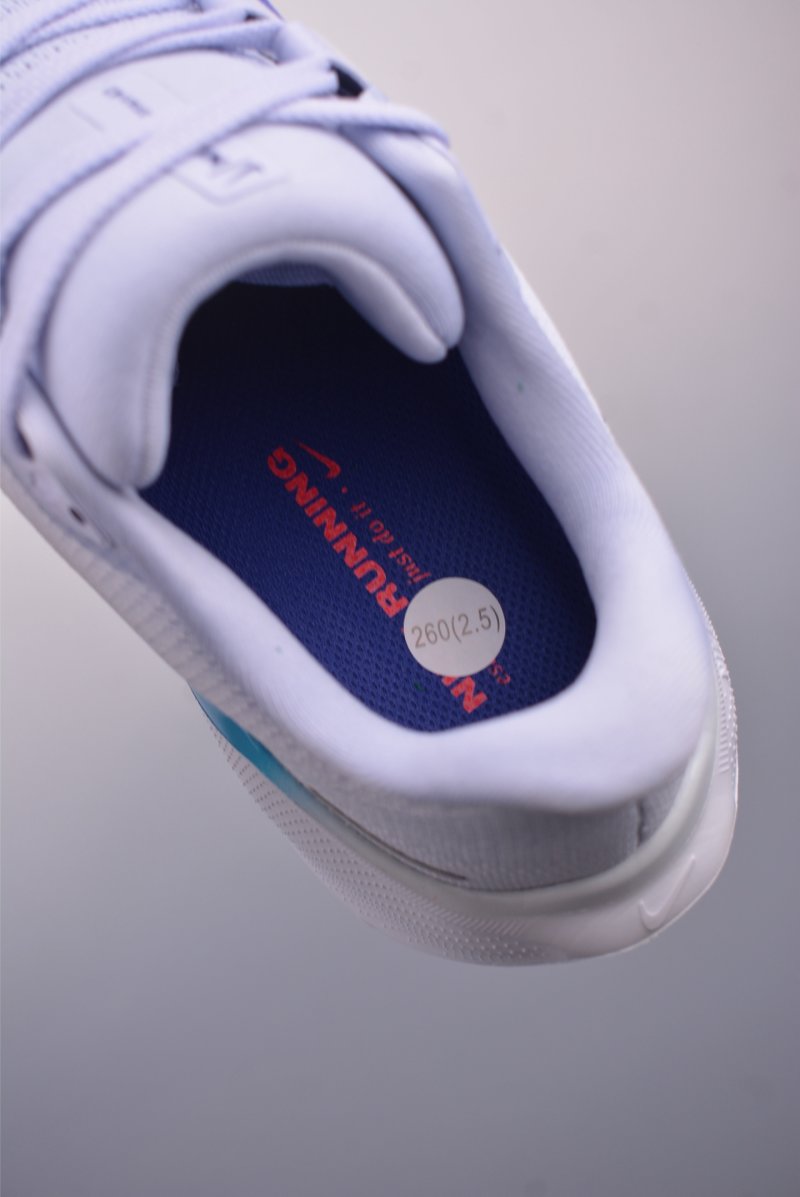 Nike Air Zoom Pegasus 41 view