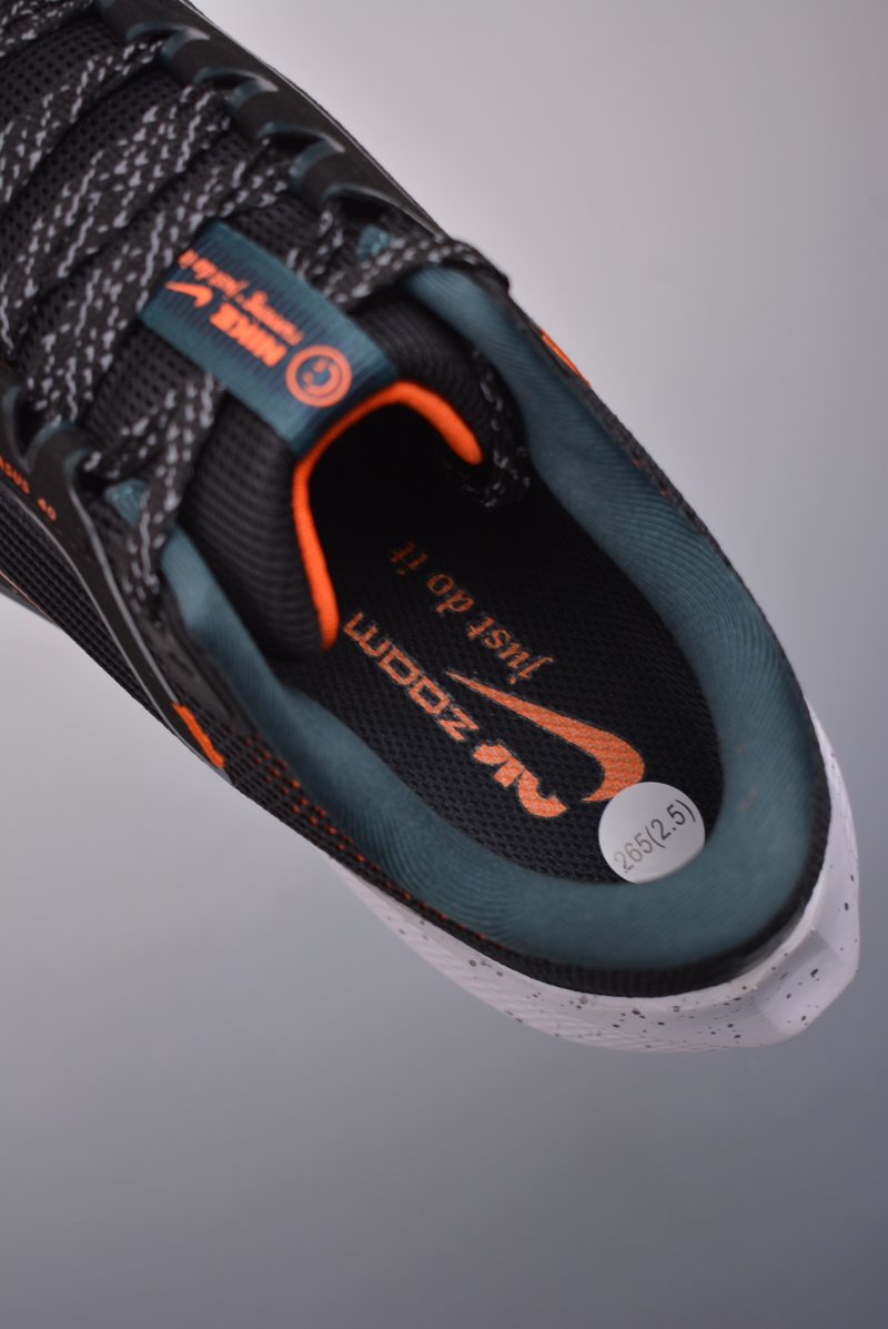 Nike Air Zoom Pegasus 40 view