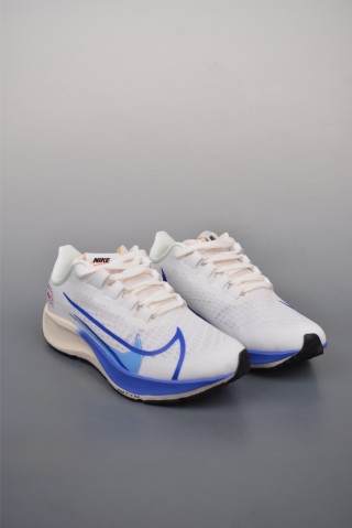 Nike Air Zoom Pegasus 37 view 1