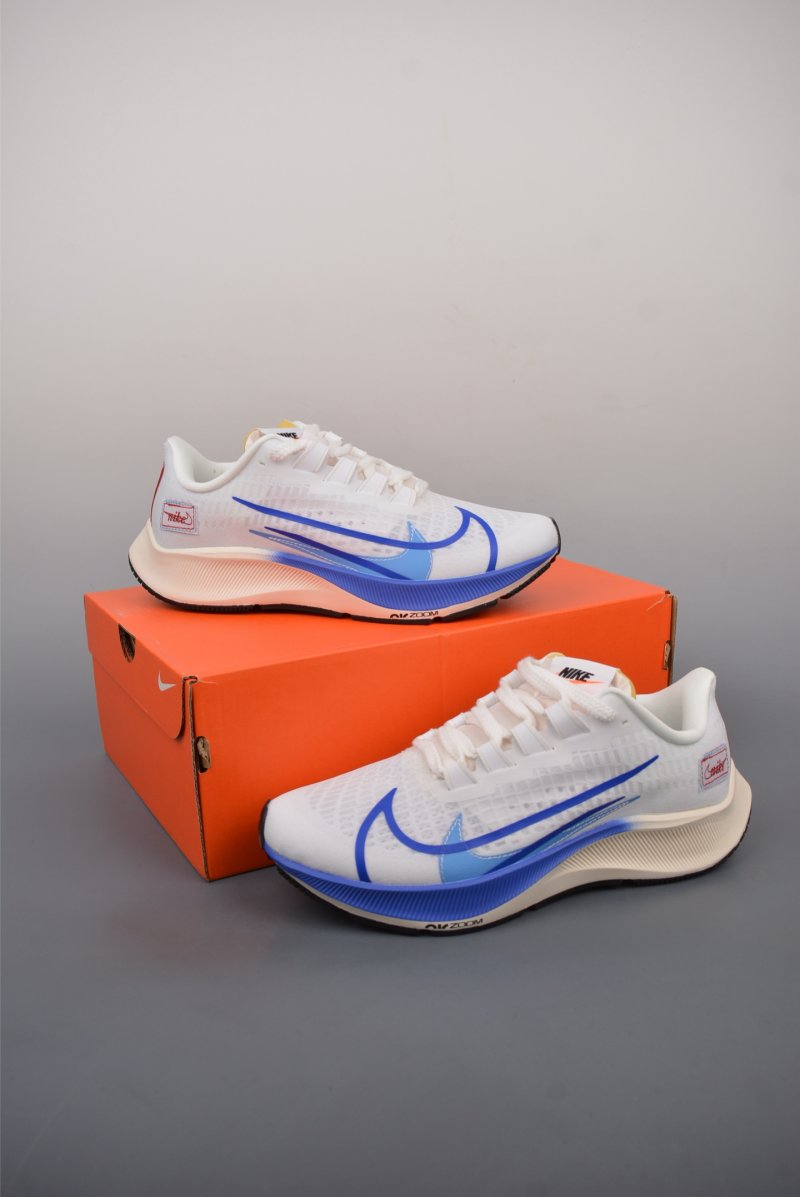 Nike Air Zoom Pegasus 37 view