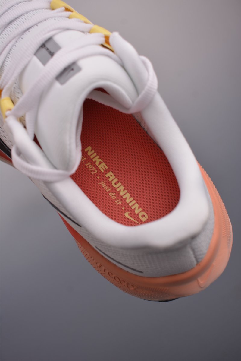 Nike Air Zoom Pegasus 41 view